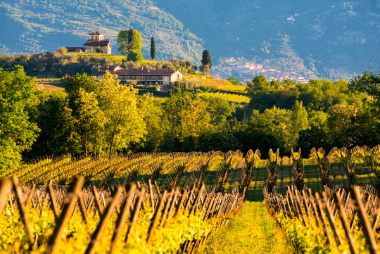 Franciacorta & Falstaff Festival - Sparkling Moments in Zürich