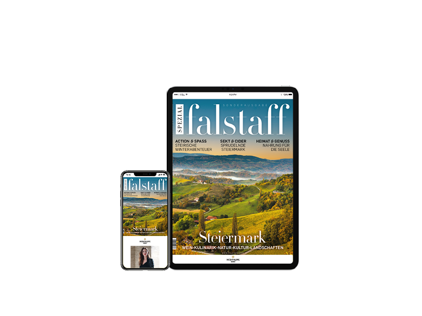 E-Paper Falstaff Steiermark Special 2023