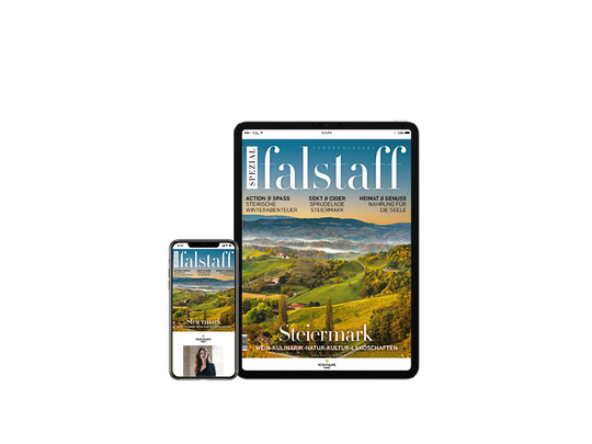 E-Paper Falstaff Steiermark Special 2023